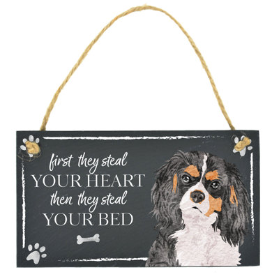 Vivid Squid Wholesale Animals Box Signs & Plaques
