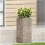 MGO PLANTER