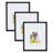 Baislee Matte Picture Frame - Set of 3 with Mat-1628603343