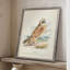 Hawk Owl, reproduction encadrée - bois massif-1675745278
