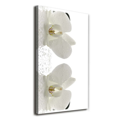 Orchid And Stones - Wrapped Canvas Print