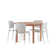 Round 4 - Person 47" Long Dining Table