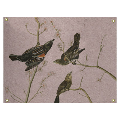 Tapisserie murale starling à oreilles Maciejewski