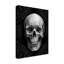 «Glam Skull» par Ethan Harper, reproduction d'art graphique sur toile-33519706