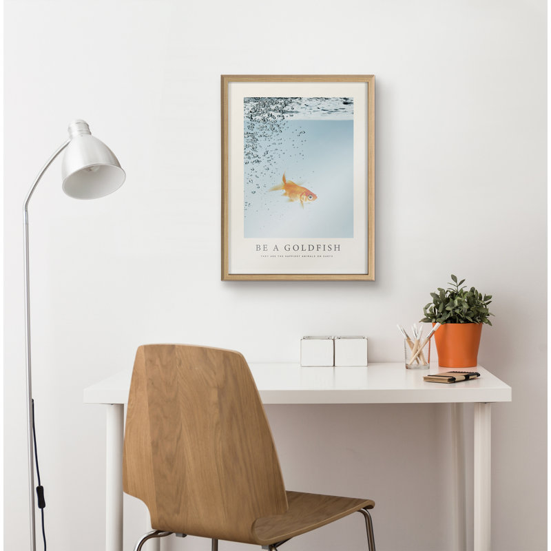 «Be a Goldfish» par The Creative Bunch Studio - reproduction de cadre photo sur verre