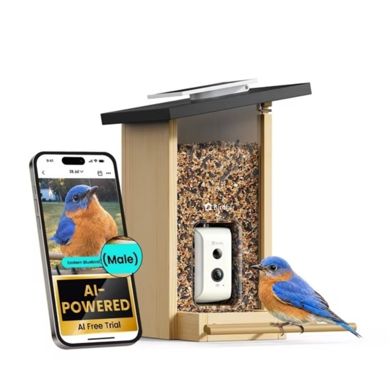 Mangeoire d'oiseaux avec caméra Birdfy Smart