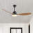 Clarra 52'' Ceiling Fan with LED Lights-1890635353
