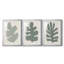 Palm Morph I - impression encadrée sur mesure de qualité supérieure mate - 3 pièces-1521821763-1521821774