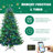 Lighted Pine Christmas Tree-650717333