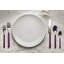 Fantasia Place Set 5 Pcs-14547524