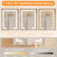 Armoire à pharmacie avec miroir réglable et tablettes réglables l 24 po x H 30 po Silo