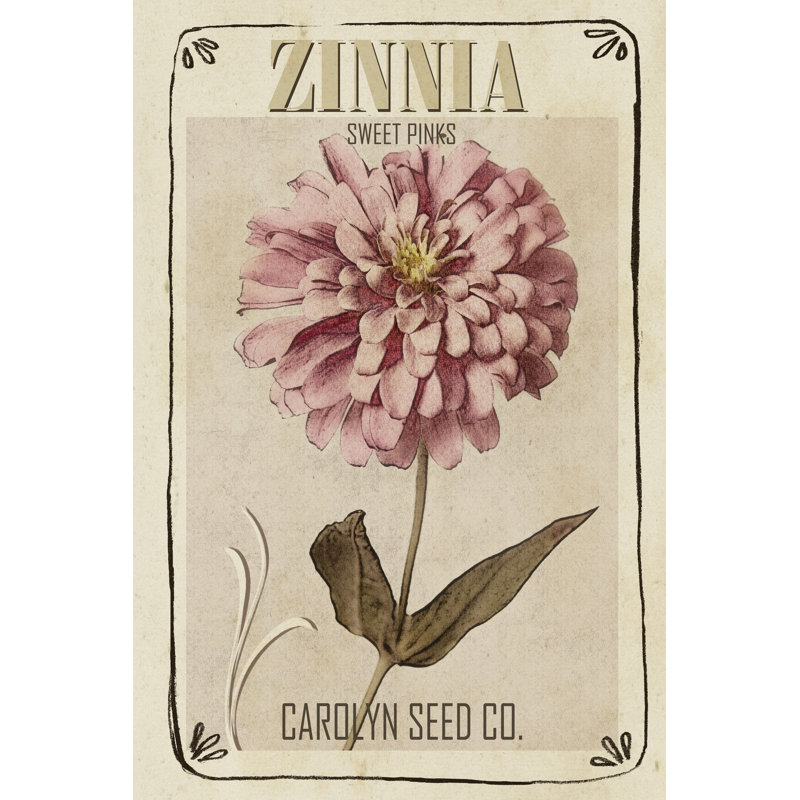 Vintage Seed Packets II by Studio W - Print on Canvas, Wrapped Canvas, 46 cm H x 30 cm W