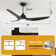 52" 3 - Blade Smart Ceiling Fan with 3CCT Dimmable LED Lights and Remote Control, Compatible with Alexa/Google