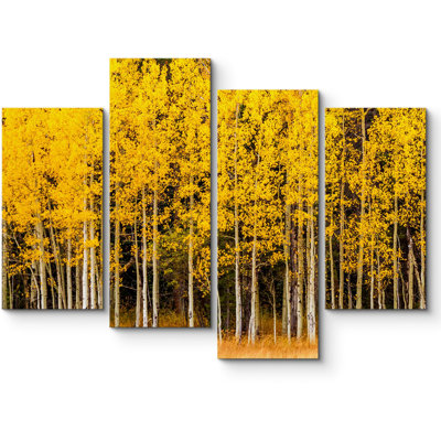 " Yellow And White Autumn Aspen Tree Forest Nature Wilderness " 4 - Pieces