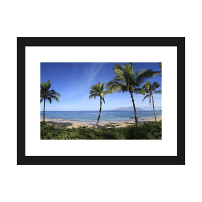" Palm Tree Lined Beach, Maui, Hawaii, USA "