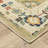 Oriental Indoor Rug-1618049989