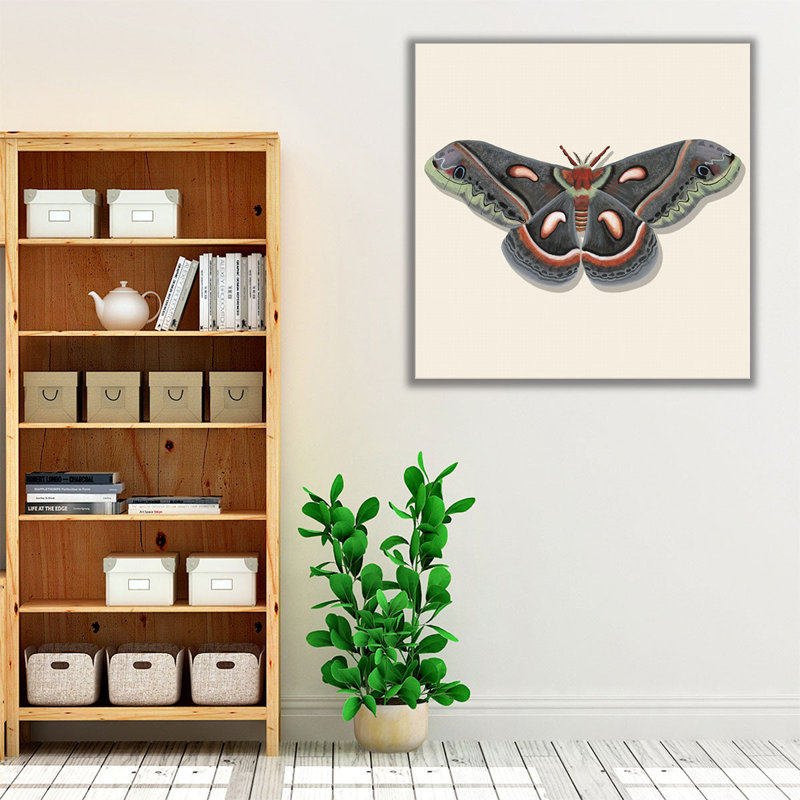 «Watercolor Moths III», reproduction d'art sur toile, H 12 po x l 12 po