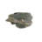 Reptology Basking Branch Arch – Decorative Branch Formation for Aquariums & Terrariums