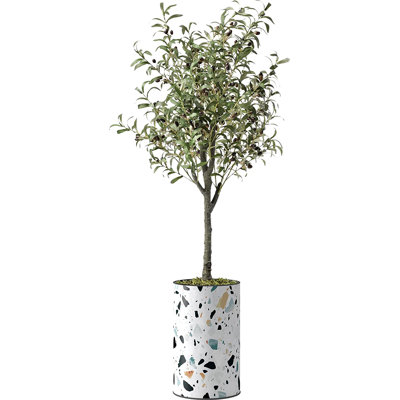 45 po olivier artificiel en pot
