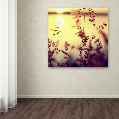 "At the End of the Day" par Beata Czyzowska Young, reproduction de photo sur toile tendue