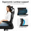 Chaise de bureau ergonomique en filet moderne-1222651543-1222651541