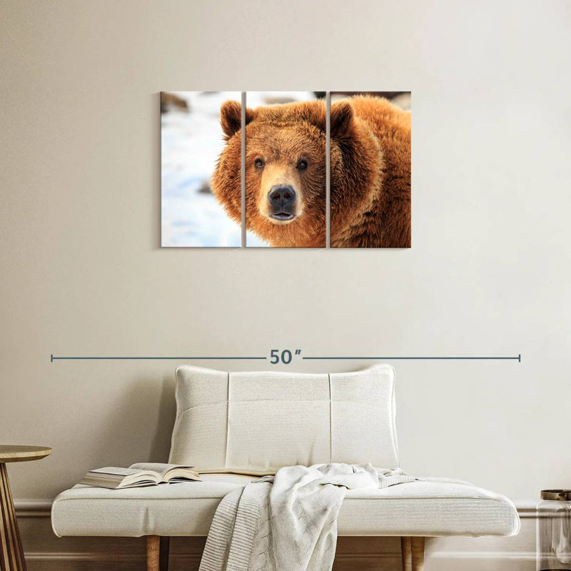 Grizzly Bear Stare, 20" H x 33" W