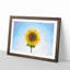 Yellow Sunflower Catching Rays - Picture Frame Painting Print-56739452-56739453
