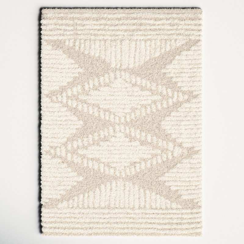 Hepfer Machine Woven Polyester Shag Rug, Rectangle 6'7" x 9'6"