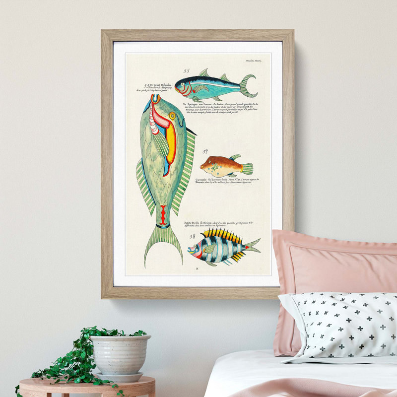 East Indies Fish Illustrations Douzieme by Louis Renard - Picture Frame Painting Print, 65cm H x 48cm W x 2cm D, Oak Framed