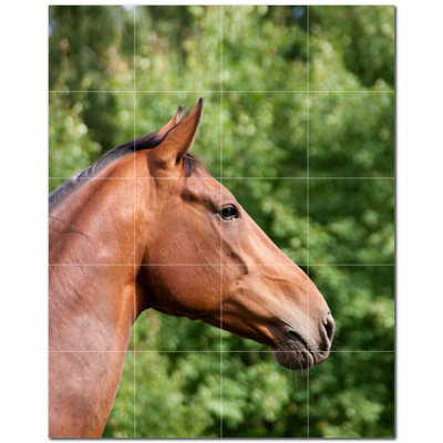 Murale en céramique satinée Horse Photo 6 po x 6 po