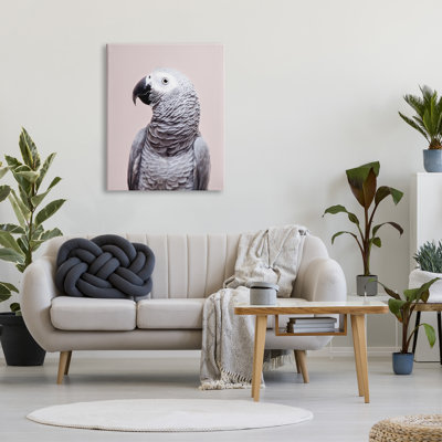 " African Grey Parrot Portrait " by Sisi And Seb