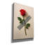  «Rose On The Wall» par Rey Klimt, art mural sur toile, 18 po x 26 po-416717463