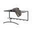 Raekwon Wall Mounted Coat Rack