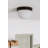 Marie Matte Black 12" W Outdoor Ceiling Mount