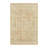 Abstract Indoor Rug-1007864096