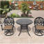 3-Piece All-Weather Cast Aluminum Dining Set, Include 2 Swivel Chairs and 35.43" Round Table With Black Frame