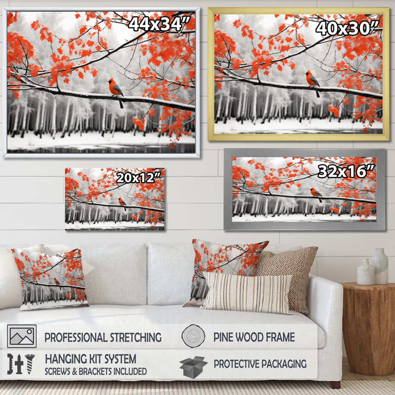 Markira - oiseau rouge-gris en forêt III - reproduction, Cadre simple noir, H 16 po x l 32 po x P 1 po