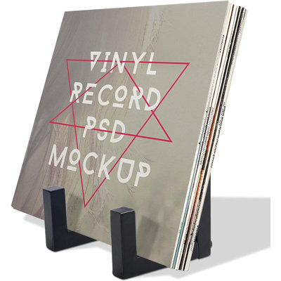 Metal Vinyl Record Storage Rack, Anti-Scratch LP Album Holder with Non-Slip Pads for Home Display Decor