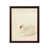 Brown Framed