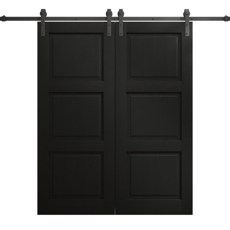 Porte de grange double moderne | Ego 5010 | Ensemble de rails | Portes intérieures solides, 84 po x 80 po, Chêne noir peint