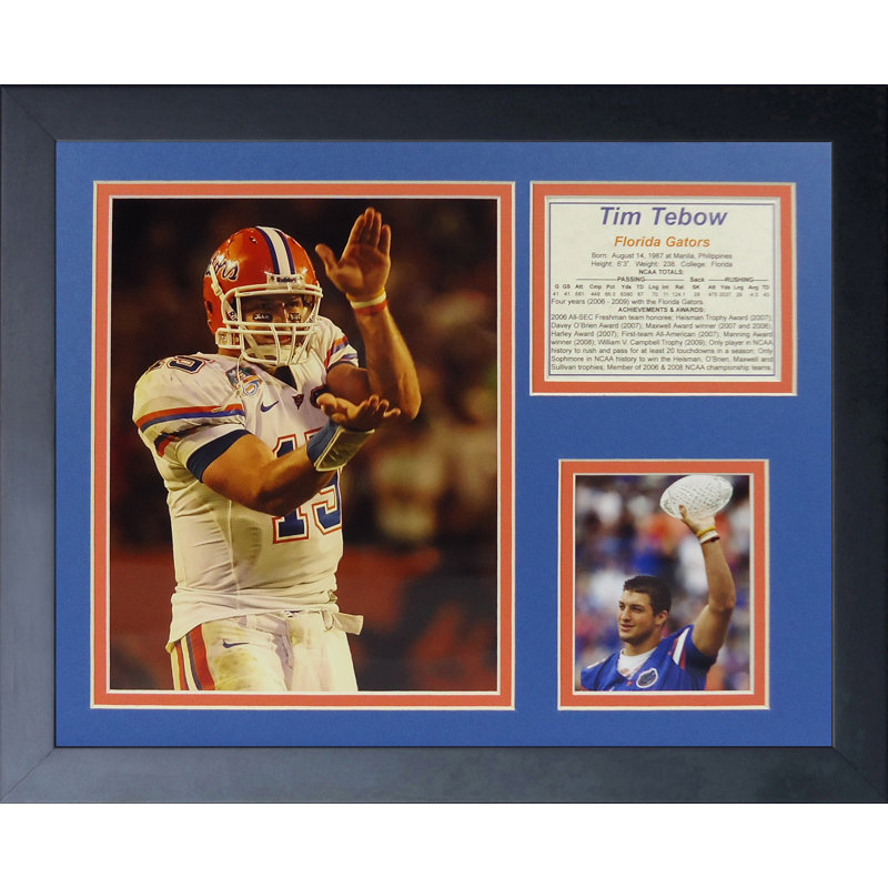 Souvenirs encadrée tim tebow-gators chomp