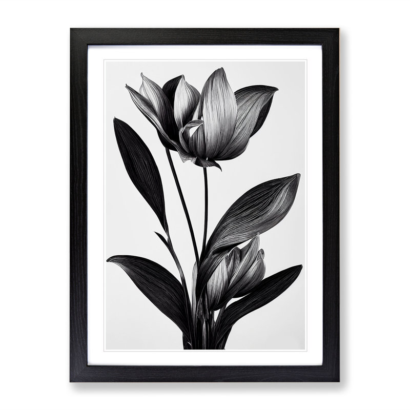 Monochrome Flower - Framed Print, Black, 64cm H x 46cm W x 2cm D