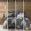 Édredon très grand / très grand - imprimé coton 200Tc bleu marine, 2 taies décoratives incluses