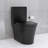 Matte Black Elongated One Piece Toilet Dual Flush 1.1/1.6 GPF Water Saving Map 1000G,Matte Black-123310603