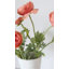 Ranunculus Faux Floral-1373698712