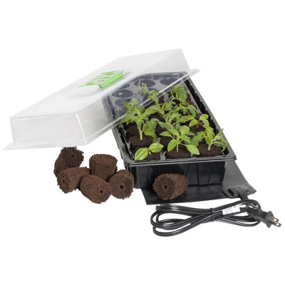 24 mini-station de germination avec bouchon de propagation Jump Start