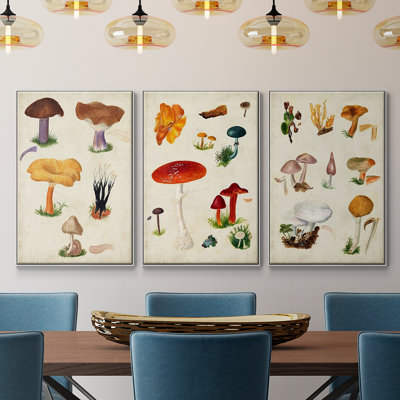 Mushroom Species VI