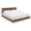 Lit Sauger-529365204-529365194