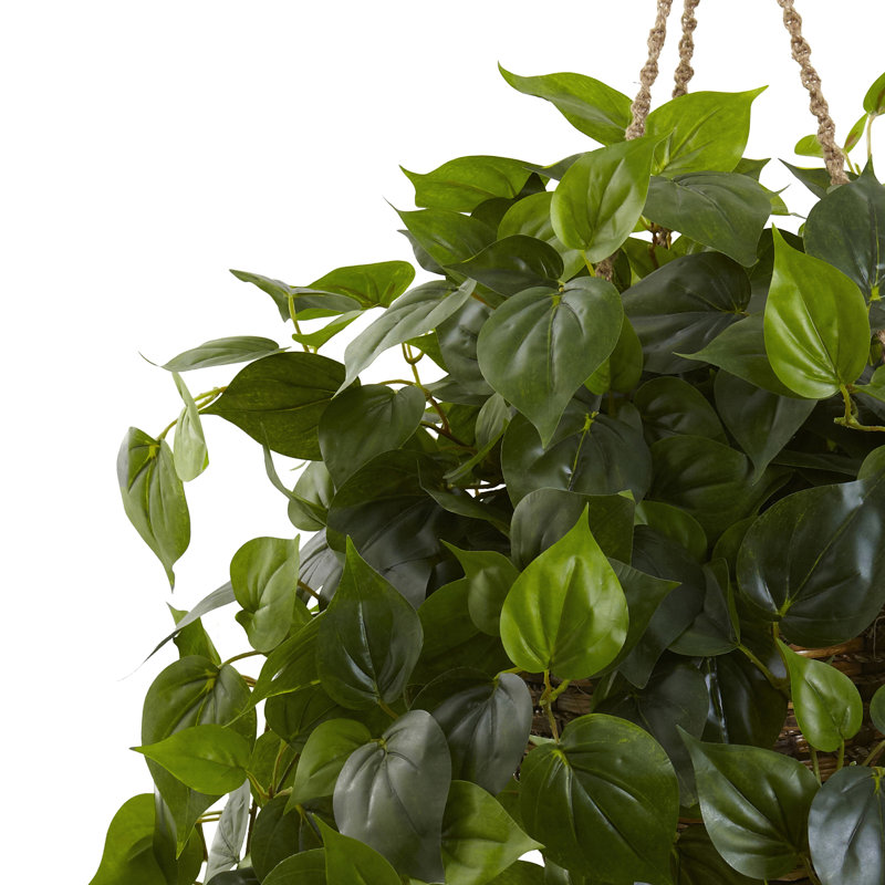 Outdoor UV Resistant Philodendron Hanging Basket