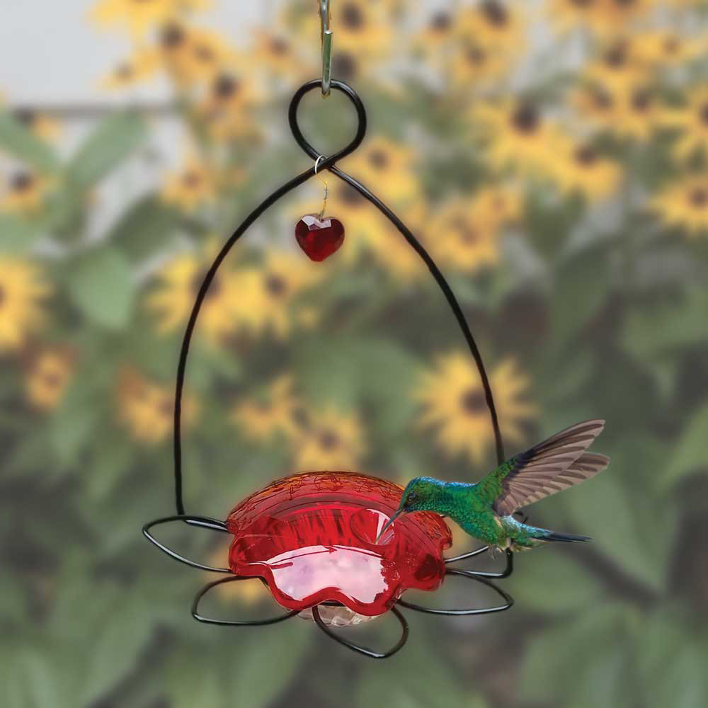 Birds Choice Hummingbird Flower Feeder & Reviews | Wayfair
